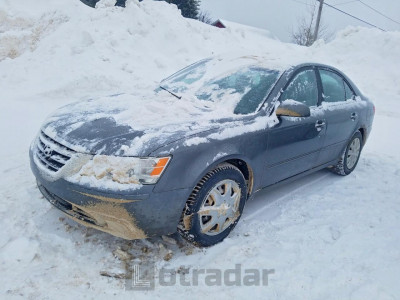 Hyundai Sonata 2010 5NPET4AC5AH619596
