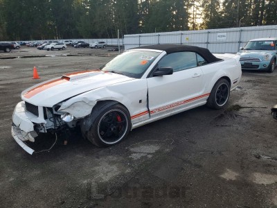 Ford Mustang 2008 1ZVHT85H485167710