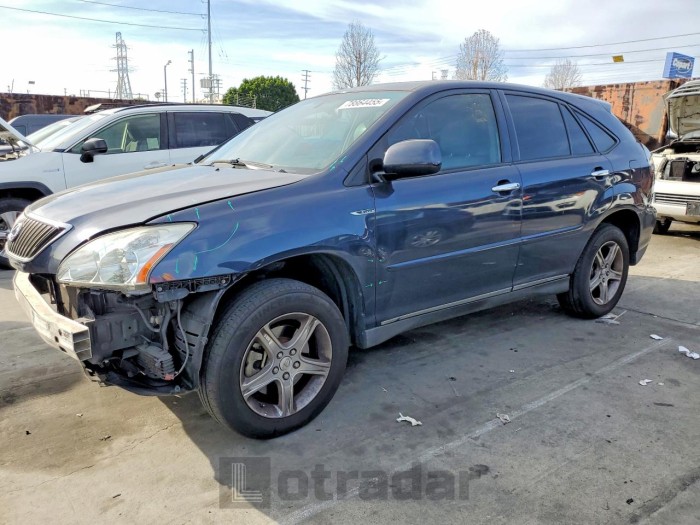 Lexus Rx 2005 VIN 2T2HA31U25C069459