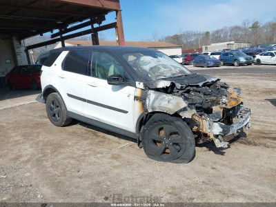 Land rover Discovery sport 2020 SALCJ2FX4LH849850