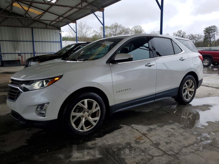 Chevrolet  2019 VIN 2GNAXKEV3K6118979