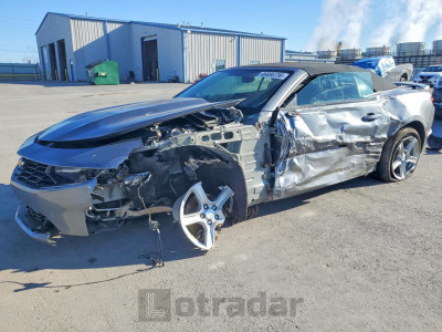 Chevrolet  2019 1G1FB3DX6K0142782
