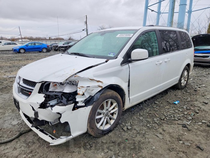 Dodge Caravan 2019 VIN 2C4RDGCG9KR699585