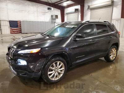 Jeep  2014 1C4PJMDSXEW193275