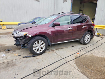 Nissan  2013 JN8AZ1MU5DW200747