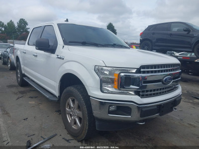 Ford F-150 2019 1FTEW1E54KFA63391