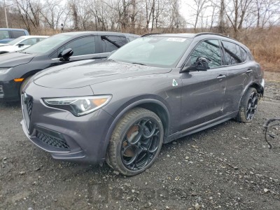 Alfa romeo Stelvio 2023 ZASPAKEV8P7D67930