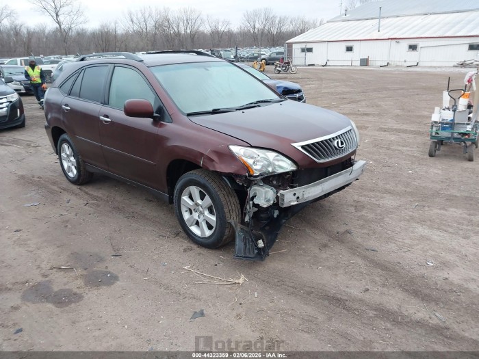 Lexus Rx 2009 VIN JTJHK31UX92062102