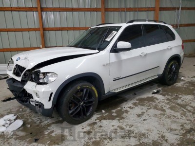 BMW X5 2010 VIN 5UXFF0C51ALT77693