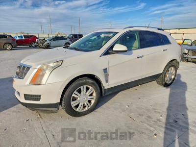 Cadillac Srx 2010 3GYFNAEY4AS572970