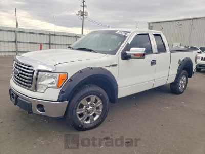 Ford F-150 2010 1FTFX1CV2AFB10873