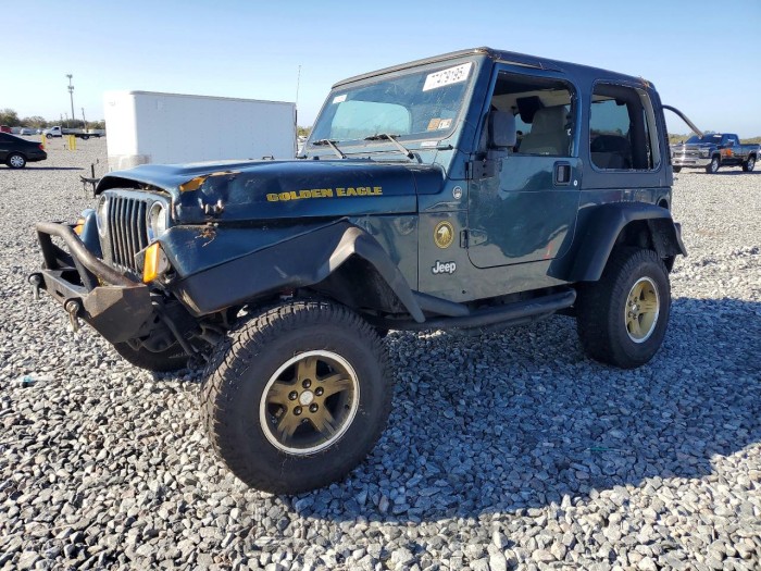 Jeep Wrangler / 2006 VIN 1J4FA49S36P724942