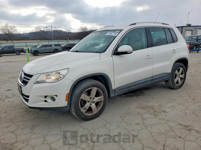 Volkswagen Tiguan 2010 WVGAV7AX6AW531904