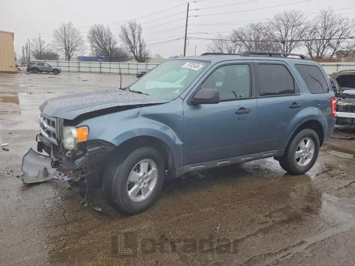 Ford Escape 2010 VIN 1FMCU0DGXAKD00316