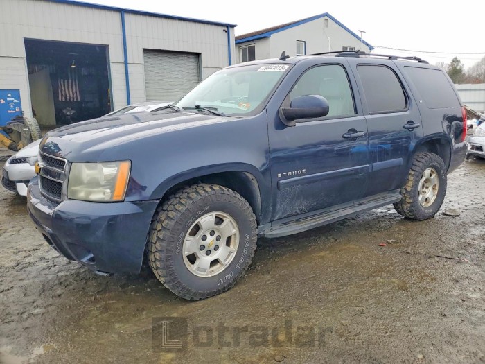 Chevrolet Tahoe 2009 VIN 1GNFK23059J121861