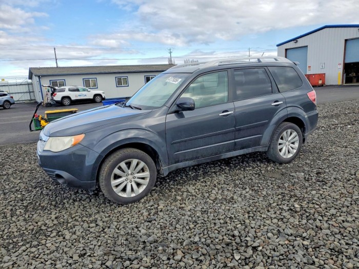 Subaru Forester 2011 VIN JF2SHAHC3BH711090