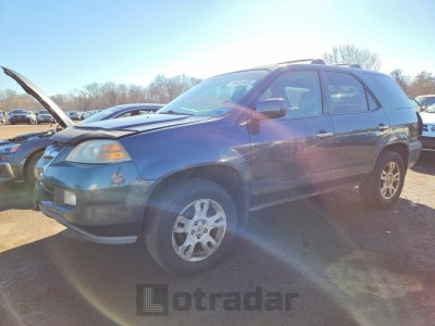 Acura Mdx 2006 VIN 2HNYD18696H509797