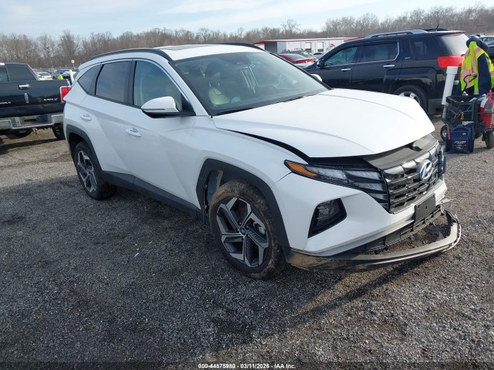 Hyundai Tucson 2024 VIN 5NMJFCDE5RH398152
