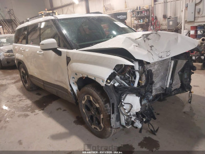 Hyundai Santa fe 2025 5NMP2DGL0SH087403