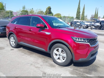 Kia Sorento 2023 5XYRG4LCXPG203644