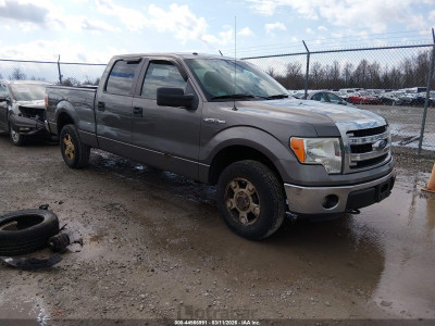 Ford F-150 2013 1FTFW1EF5DFC06820