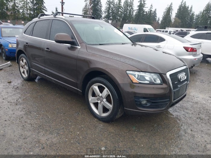 Audi Q5 2012 VIN WA1LFAFP7CA102054