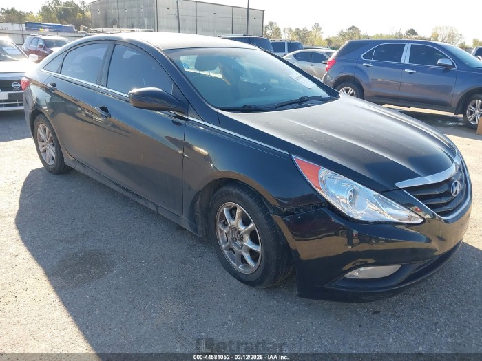 Hyundai Sonata 2013 VIN 5NPEB4AC2DH554925
