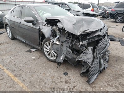 Toyota Camry 2024 4T1C11AK7RU872841