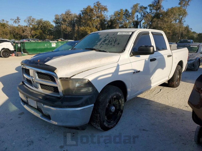 Dodge Ram 2010 VIN 1D7RB1CP0AS189289