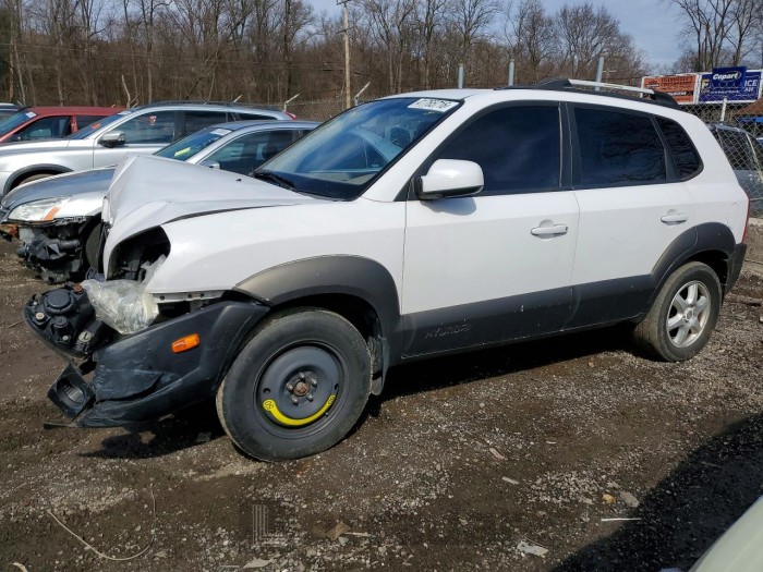 Hyundai Tucson 2005 VIN KM8JN12D95U226691