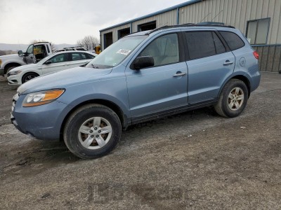 Hyundai Santa fe 2009 5NMSG73D19H329296
