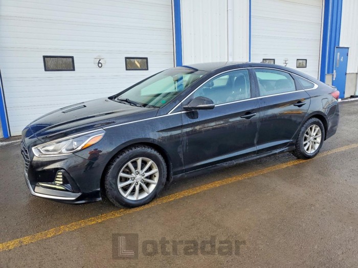 Hyundai Sonata 2019 VIN 5NPE24AF1KH794944