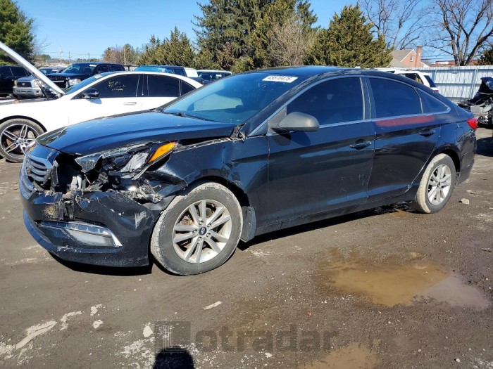 Hyundai Sonata 2015 VIN 5NPE24AF0FH173619