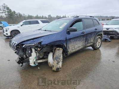 Jeep Cherokee 2016 1C4PJMAB6GW225923