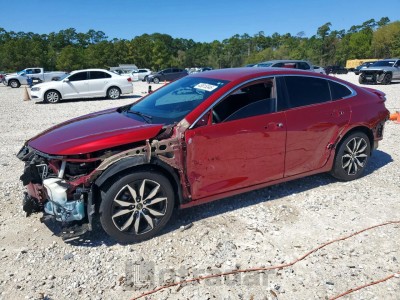 Chevrolet Malibu 2020 1G1ZG5ST7LF019078