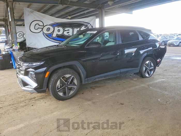 Hyundai Tucson 2025 VIN 5NMJBCDE5SH567474
