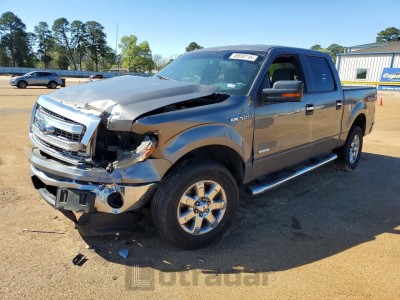 Ford F-150 2013 1FTFW1ET5DKG25389