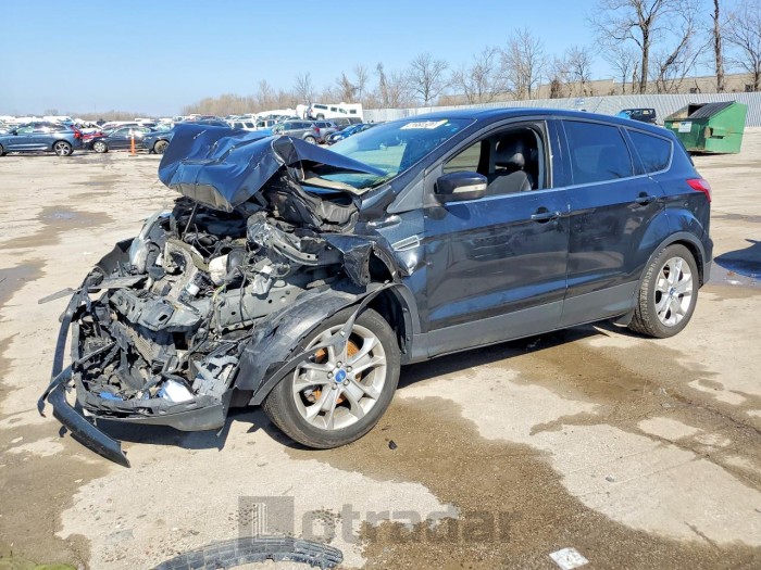 Ford Escape 2013 VIN 1FMCU9H91DUD24593