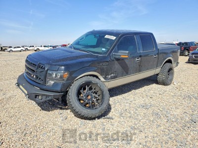 Ford F-150 2013 1FTFW1EF6DFA45877