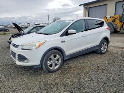 Ford Escape 2013 1FMCU9G99DUA17870