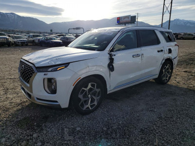 Hyundai Palisade 2022 KM8R7DHEXNU460434