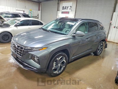Hyundai Tucson 2024 KM8JECD12RU232336