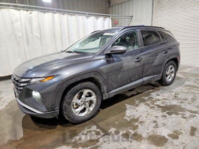 Hyundai Tucson 2024 5NMJB3DE3RH340794
