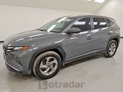 Hyundai Tucson 2024 5NMJA3DE2RH397183