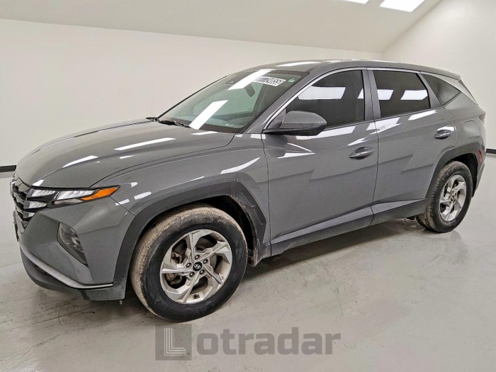 Hyundai Tucson 2024 VIN 5NMJA3DE2RH397183