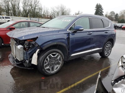 Hyundai Santa fe 2023 5NMS5DA17PH010947