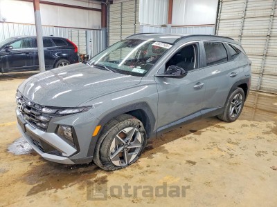 Hyundai Tucson 2025 5NMJBCDE9SH517676