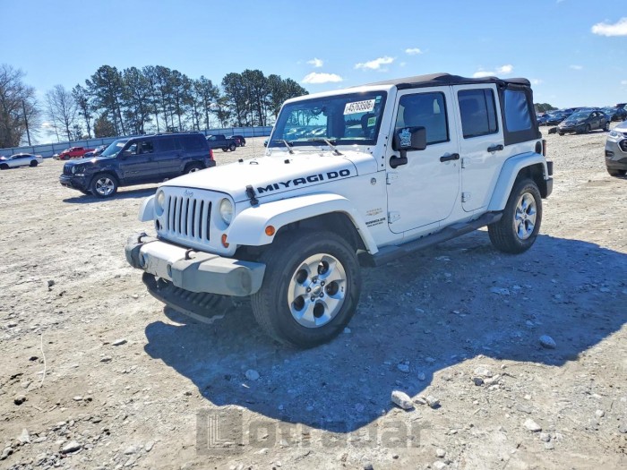 Jeep Wrangler / 2013 VIN 1C4BJWEG5DL706805