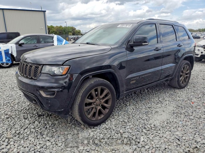 Jeep Cherokee 2016 VIN 1C4RJEBG8GC436695