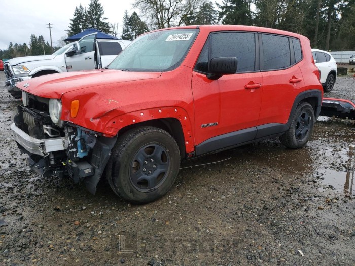 Jeep Renegade 2018 VIN ZACCJAAB9JPG91993